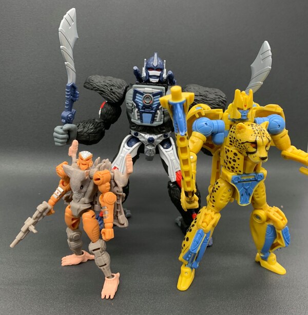 Takara Transformers Kingdom Official In Hand Images Optimus Primal, Cheetor, Rattrap  (1 of 8)